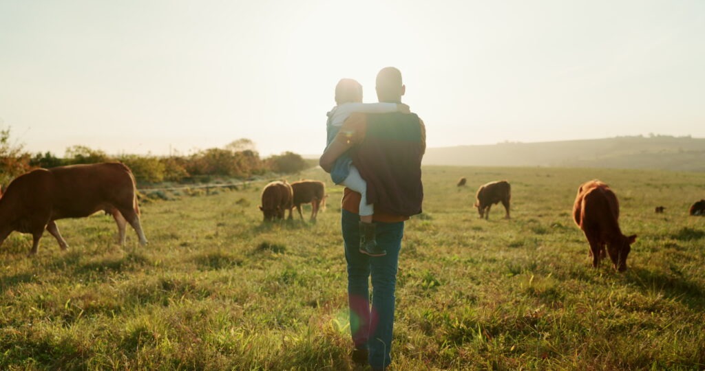 amily, farm and cattle with a girl and father walking on a field or grass meadow in the agricultural industry. Agriculture, sustainability and farming with a man farmer and daughter tending the cows.