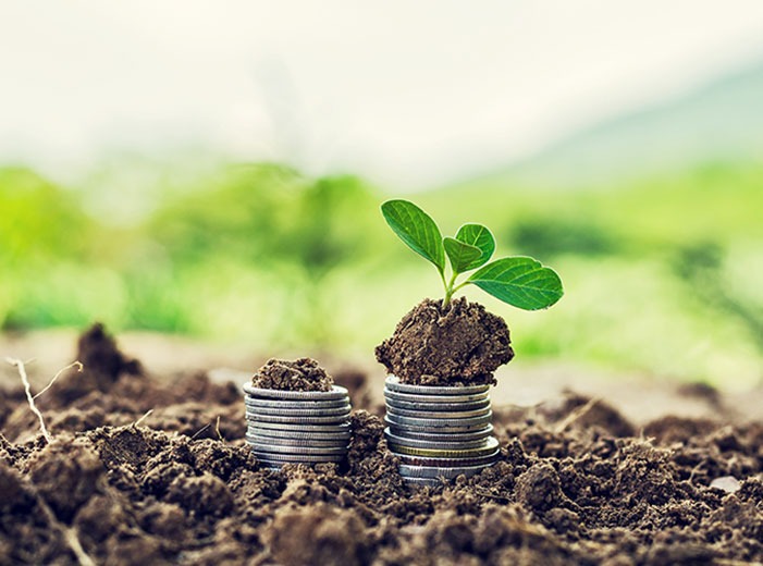 Coins in rich soil with plants growing atop